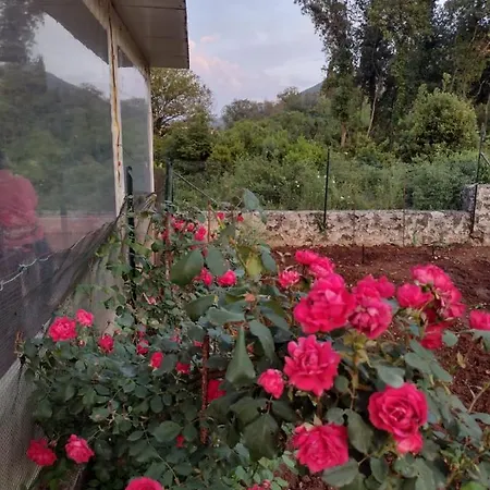 Apartment Happy Lp *